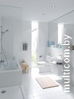 Сиденье для унитаза Laufen Pro 8919513000031