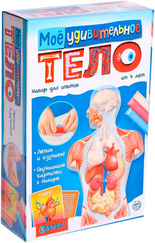 Эврики Мое удивительное тело 5540143