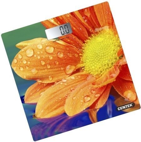 Напольные весы CENTEK CT-2420 Гербера