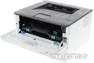 Принтер Pantum P3010D