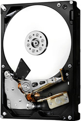 Жесткий диск HGST Ultrastar C10K1800 1.2TB HUC101812CSS204