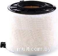 Воздушный фильтр MANN-filter C17010