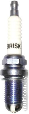 Brisk DOR15LGS