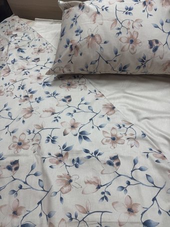 Постельное белье Блакiтны лён Мелодыя весны 70х70 4901 651101 Евро