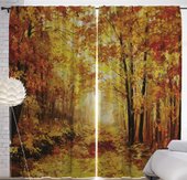 JoyArty Заросшая дорога p_15137