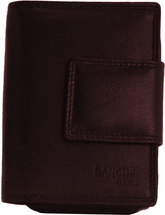 Кошелек Sanchez Casual AD-102R-332 (коричневый)
