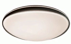 Leek Afina LE 061204-001