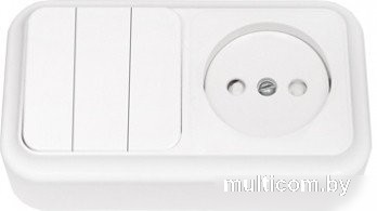 Розетка Bylectrica Пралеска 3В-РЦ-575 (белый)