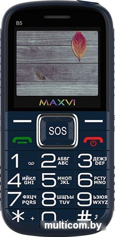 Мобильный телефон Maxvi B5 (синий)