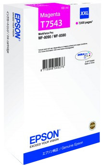 Картридж-чернильница (ПЗК) Epson C13T754340