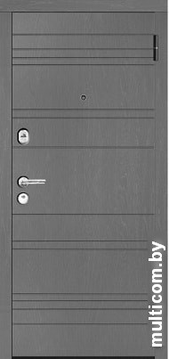 Металлическая дверь Металюкс М395 (96x205)