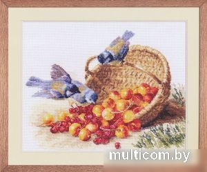 Набор для вышивания Алиса Синички и черешня 1-14