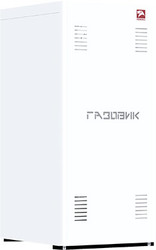 Отопительный котел Лемакс Газовик АОГВ-23.2