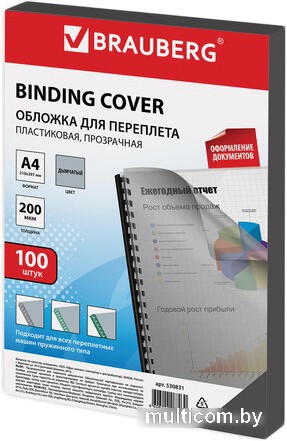 Пластиковая обложка для переплета BRAUBERG A4 200 мкм 100 шт 530831 (прозрачный/дымчатый)