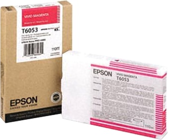 Картридж Epson C13T605300