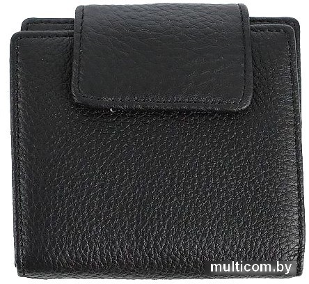 Кошелек Francesco Molinary 895-8005-BLK (черный)