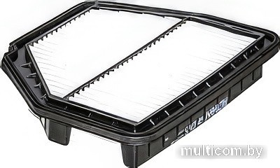 Воздушный фильтр Filtron AP109/5