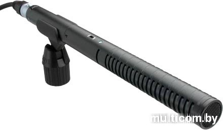 Микрофон RODE NTG2