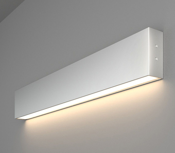 Бра Elektrostandard 101-100-30-53 10W 4200K (матовое серебро)