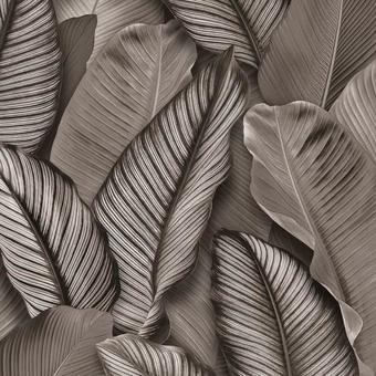 Vimala Лора 93313