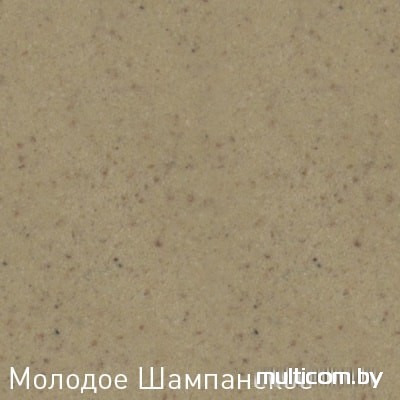 Кухонная мойка Zigmund & Shtain Platz 560 (молодое шампанское)