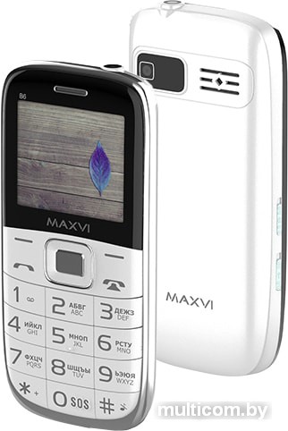 Мобильный телефон Maxvi B6 (белый)
