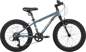 Детский велосипед Maxiscoo 3bike 20 M 2025 MSC-M3-2001 (серый матовый)