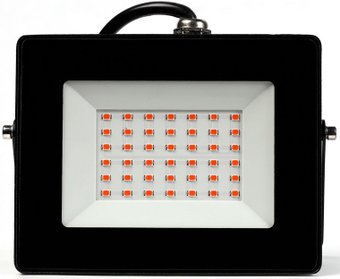 SmartBuy SBL-FLFITO-30-65K