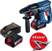 Перфоратор Bosch GBH 180-LI Professional 0615990L01 (с 2-мя АКБ, кейс)