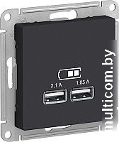 Розетка USB Systeme Electric AtlasDesign ATN001033