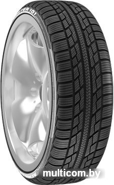 Автомобильные шины Achilles Winter 101 X 205/60R16 96H
