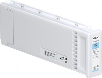 Картридж Epson C13T891500