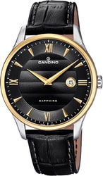 Наручные часы Candino C4640/4