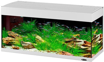 Аквариум Ferplast Dubai 100 led 240 л (белый)