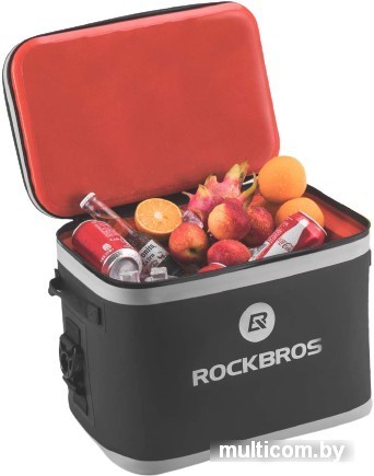 Термосумка RockBros BX-001 20л (черный)