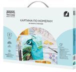 Картина по номерам Три совы Павлин КХп_48157