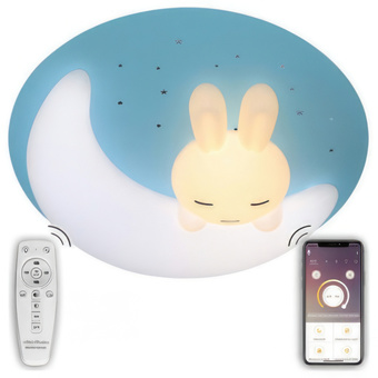 Светильник-тарелка Natali Kovaltseva Led Lamps Led Lamps 81087