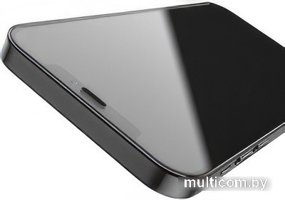 Защитное стекло Hoco A19 HD для iPhone 12 Mini (черный)