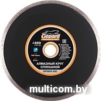 Отрезной диск алмазный Gepard GP0803-200