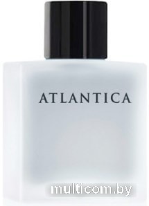 Dilis Parfum Atlantica Silver Moon EdT 100 мл