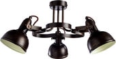Люстра Arte Lamp Martin A5216PL-3BR