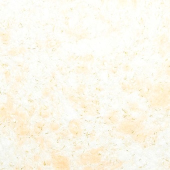 Жидкие обои Silk Plaster Ecoline 765