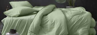 Постельное белье Luxor № Фисташка (N) 1.5 (поплин гл/кр)
