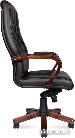 Кресло Norden Боттичелли P2338-L0828 (темно-коричневая кожа/мультиблок)