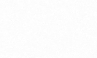 Виниловые обои Erismann Felicita 60124-04