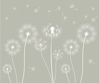 Фотообои Citydecor Одуванчик 300x254