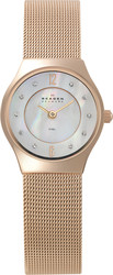Наручные часы Skagen 233XSRR
