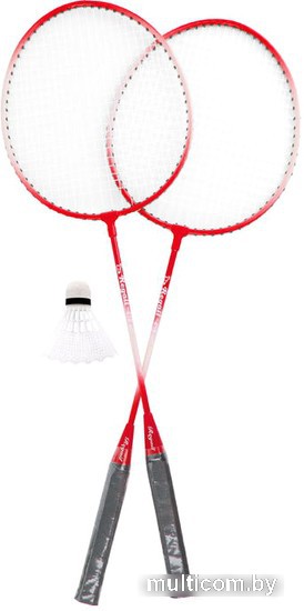 Теннис/бадминтон Darvish SR-S-26 (в ассортименте)