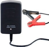 Зарядное устройство Восток 220-12-0.3