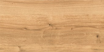 Керамогранит (плитка грес) Cersanit Woodhouse 598x297 (Brown)